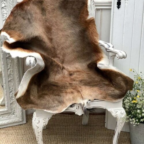 Decorative Skins