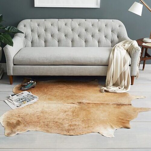 Decorative Skins